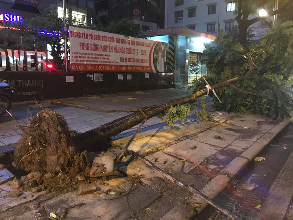 Cây bị bật gốc trên đường Nguyễn Chí Thanh.