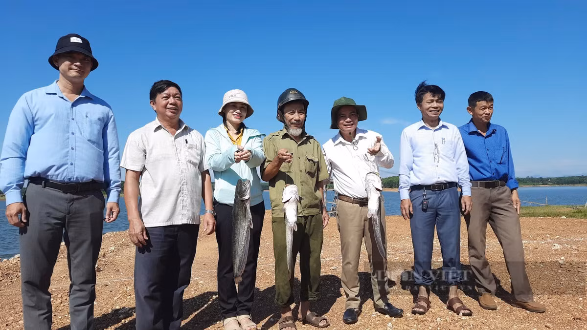 Quang Tri: Ban 85.000 dong/kg hut hang tu viec nuoi ca leo-Hinh-4