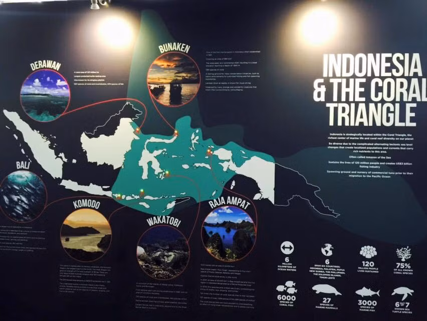 "Một bản đồ giới thiệu vùng biển của Indonesia. Những ai chưa biết Việt Nam mà đến khu của Việt Nam thì sẽ nghĩ Việt Nam không có biển vì không có bất cứ thông tin nào kiểu như thế này", bà Oanh viết trên trang cá nhân.