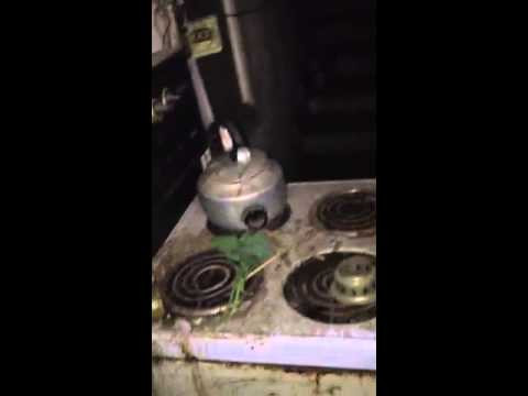 Đức Anh cho biết: “Trước đây mình cũng thường đi qua ngôi nhà này, thấy vắng lặng và còn nghe nhiều câu chuyện về nó nữa. Nhiều người nói ở đây có ma nhưng bọn mình không tin nên muốn một lần vào đó dạo chơi xem sao. Tuy nhiên cũng có một số thành viên trong nhóm do dự, góp ý không nên chơi trò này để tránh những rủi ro không thể lường trước”.