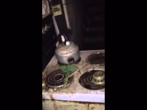 Đức Anh cho biết: “Trước đây mình cũng thường đi qua ngôi nhà này, thấy vắng lặng và còn nghe nhiều câu chuyện về nó nữa. Nhiều người nói ở đây có ma nhưng bọn mình không tin nên muốn một lần vào đó dạo chơi xem sao. Tuy nhiên cũng có một số thành viên trong nhóm do dự, góp ý không nên chơi trò này để tránh những rủi ro không thể lường trước”.