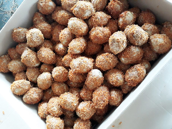 Trung vit rot gia, nguoi Viet hoc cach u trung 