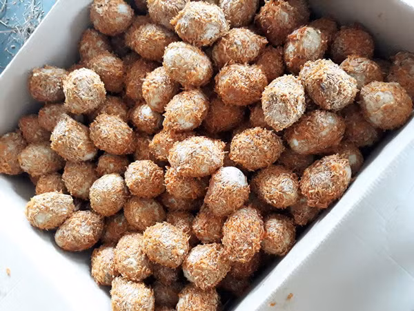 Trung vit rot gia, nguoi Viet hoc cach u trung 