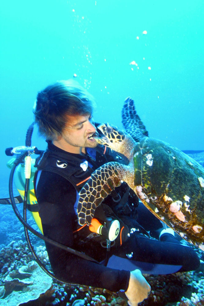 Nhân ngày Hàng hải thế giới, hãng thông tấn Sputnik của Nga đã chọn lọc một loạt bức ảnh về sự tương tác đáng kinh ngạc giữa sinh vật biển với con người. Thợ lặn cho rùa ăn ở ngoài khơi đảo Moorea, Polynesia thuộc Pháp