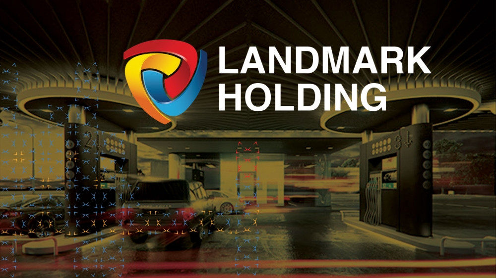 Landmark Holding “om” bao nhieu du an BDS, lum xum 'bua vay' nhu nao?-Hinh-2