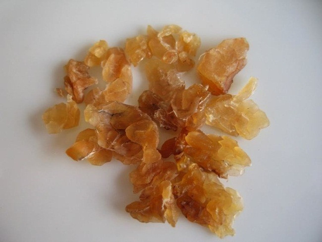 Còn giáo sư Cui Hequan (Đại học y dược cổ truyền Hà Nam, Trung Quốc) cho biết hasma có giá trị dược phẩm cao. Hasma chứa lượng collagen, amino acid lớn, giúp tái tạo da, phụ nữ trông trẻ hơn, trao đổi chất tốt hơn, tăng cường sinh lực và giúp cân bằng hormone.