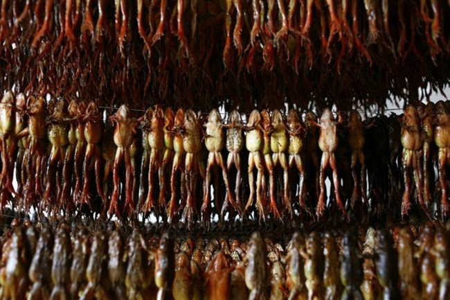 Tuy nhiên, chuyên gia Sun Lihong (Đại học y dược cổ truyền Thượng Hải) cảnh báo, với những thực phẩm làm thuốc như hasma và keo ong (một chất nhựa do ong sản xuất) phải thận trọng