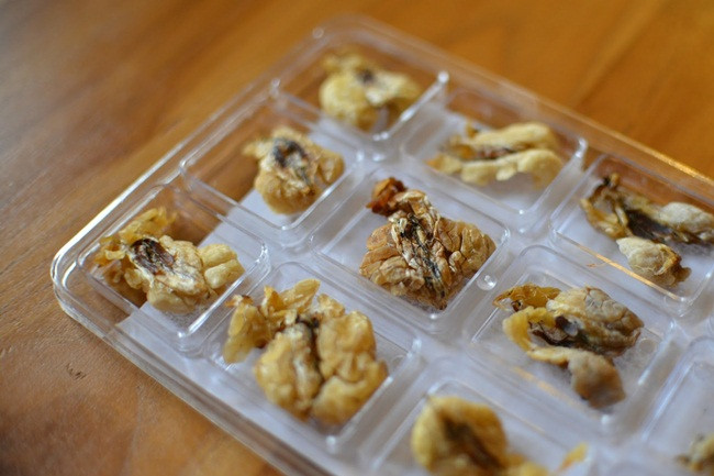 Ống dẫn trứng của ếch cỏ Asiatic chứa protein, estrogen. Vào mùa đông, khi ếch ngủ đông, các chất dinh dưỡng thành năng lượng cho chúng.