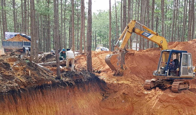 “Beu ten” 10 doanh nghiep 'bam nat' ho Tuyen Lam, Da Lat