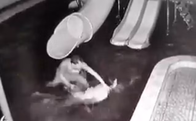 Công an triệu tập người đàn ông nhiều lần dìm vợ xuống hồ bơi Cong an trieu tap nguoi dan ong nhieu lan dim vo xuong ho boi