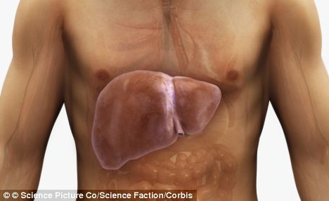 ... phân nhạt và có máu, bạn nên nghĩ ngay tới bệnh gan.