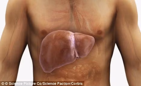 ... phân nhạt và có máu, bạn nên nghĩ ngay tới bệnh gan.