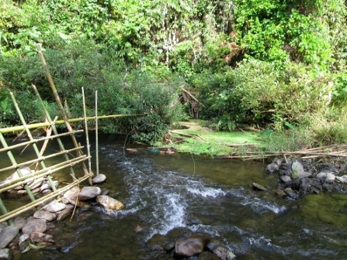 Can canh hien truong vu tham sat kinh hoang o Nghe An-Hinh-8