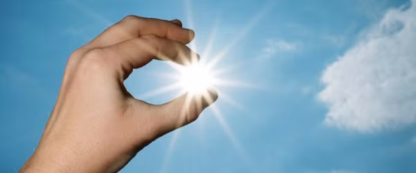 Cách để hấp thụ được nhiều vitamin D nhất từ chế độ ăn uống là ăn nhiều chất béo có trong cá, quả bơ, các loại hạt do vitamin D hòa tan trong chất béo.