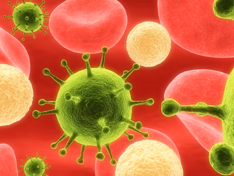 Một số loại virus tiêu hóa như norovirus gây suy dạ dày, có thể lây truyền từ người sang người, cũng được tìm thấy ở bồn cầu.