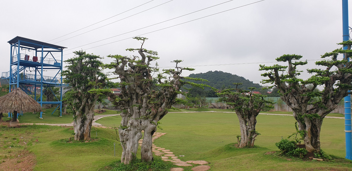 Thực địa vào ngày 5/6/2022, PV Báo Tri thức và Cuộc sống vẫn ghi nhận tại Big Sun vẫn ngang nhiên hoạt động, đón và tổ chức cho khách ngủ nghỉ, vui chơi, thách thức cơ quan quản lý nhà nước.