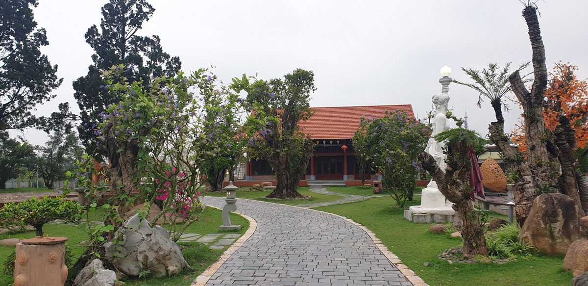 Đoàn Thanh tra được yêu cầu nhanh chóng ban hành kết luận, xác định rõ sai phạm, trách nhiệm, thiếu sót của các tổ chức, cá nhân, báo cáo UBND thành phố trước ngày 15/6.