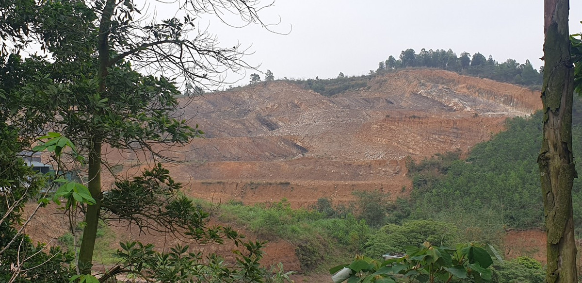 Quang Ninh: Cong ty Trung Tien mai me ban dat, cham trong cay