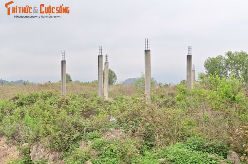 Nguoi dan no ngan hang vi du an cum cong nghiep, UBND TP Uong Bi co vo can?-Hinh-3