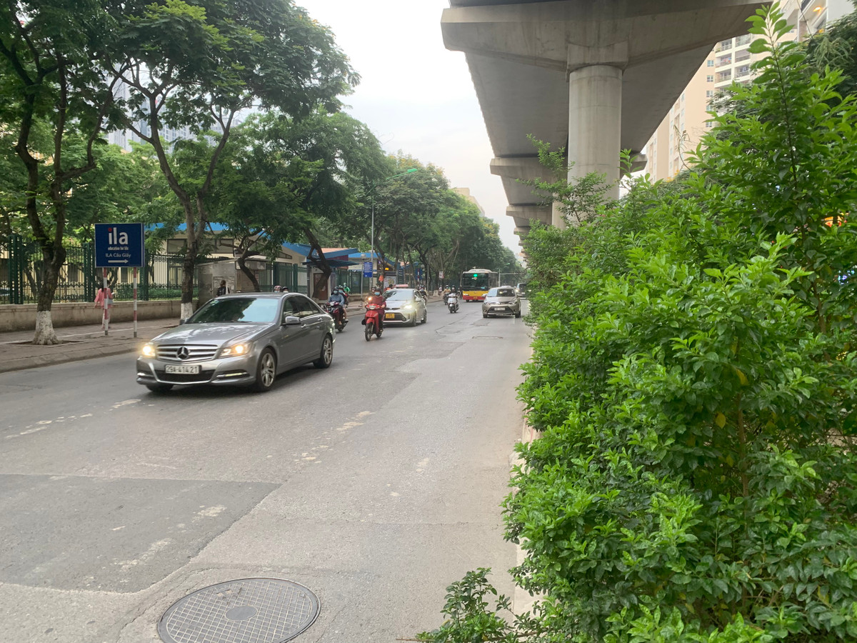 Cây phát triển tán lá làm lấn từ dải phân cách giữa ra ngoài đường buộc người tham gia giao thông phải di chuyển ra giữa phần đường còn lại.