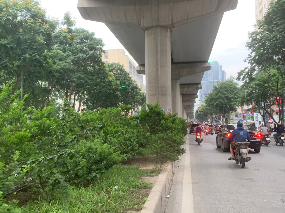 Thậm chí, cỏ dại cũng đua nhau mọc trên dải phân cách nhưng không được công ty môi trường, cây xanh dọn dẹp.