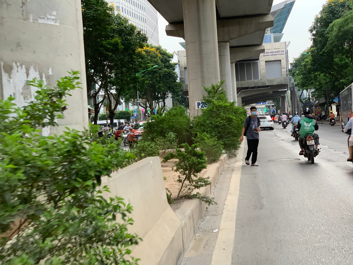 Việc để cây mọc tràn lan không chỉ làm mất mỹ quan đô thị mà còn tiềm ẩn nguy cơ TNGT, nhất là vào giờ cao điểm khi có đông đúc sinh viên các Trường Đại học Sư phạm, Học viện Báo chí &amp; Tuyên truyền tan lớp cùng với lượng lớn người lao động tan làm di chuyển qua đây.