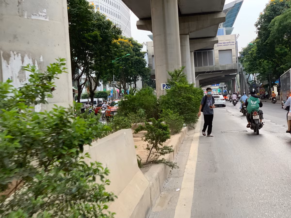 Việc để cây mọc tràn lan không chỉ làm mất mỹ quan đô thị mà còn tiềm ẩn nguy cơ TNGT, nhất là vào giờ cao điểm khi có đông đúc sinh viên các Trường Đại học Sư phạm, Học viện Báo chí &amp; Tuyên truyền tan lớp cùng với lượng lớn người lao động tan làm di chuyển qua đây.