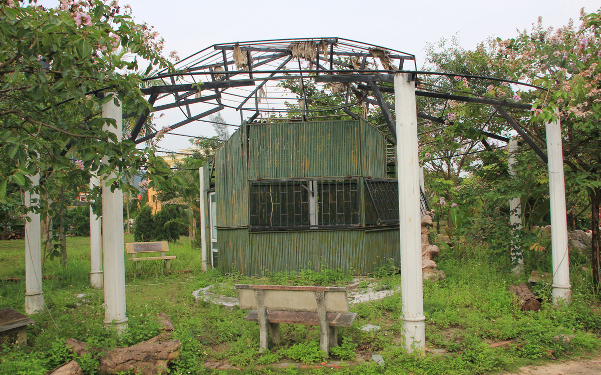 Công trình nằm trong khuôn viên công viên hoang tàn, bỏ hoang.