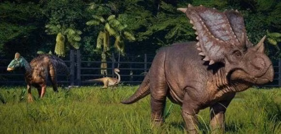 Tai sao nguoi Trung Quoc lai chon dat tuong ho da truoc lang mo?