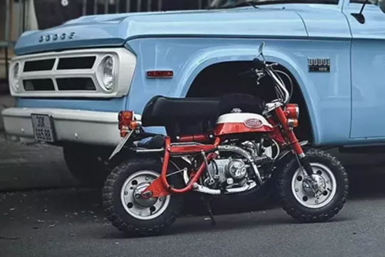 Các mẫu xe là xe bán tải nhẹ D100 và D200, xe tải D500 và xe tải D600 với động cơ sáu xi-lanh thẳng hàng và có hệ dẫn động bốn bánh theo yêu cầu. Chiếc Dodge 100 ở Việt Nam được sản xuất từ 1968 đến 1971, ở bản này, xe được trang bị lưới tản nhiệt phía trước mới, chia thành 2 tầng, mỗi tầng bốn lỗ.