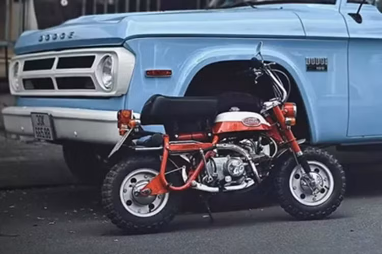 Các mẫu xe là xe bán tải nhẹ D100 và D200, xe tải D500 và xe tải D600 với động cơ sáu xi-lanh thẳng hàng và có hệ dẫn động bốn bánh theo yêu cầu. Chiếc Dodge 100 ở Việt Nam được sản xuất từ 1968 đến 1971, ở bản này, xe được trang bị lưới tản nhiệt phía trước mới, chia thành 2 tầng, mỗi tầng bốn lỗ.