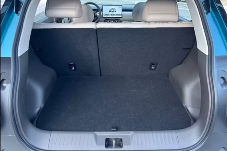 Có hai phạm vi hành trình CLTC: 330 km và 420 km. Tốc độ tối đa là 150 km/h, tốc độ thử nghiệm moose là 75 km/h và mức tiêu thụ điện năng toàn diện của WLTC là 11,4 kWh trên 100 km.