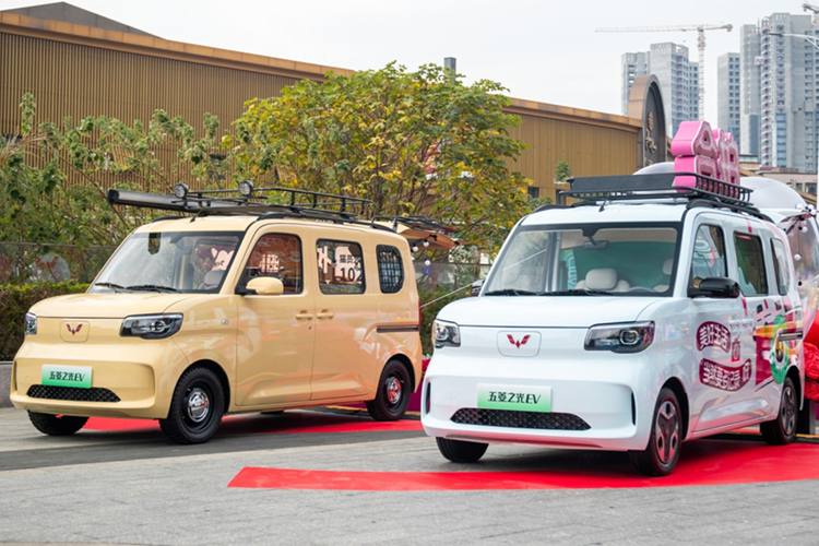 Tốc độ tối đa là 100 km/h và phạm vi chạy điện thuần túy CLTC là 201 km. Với chế độ sạc nhanh DC, mất 35 phút để sạc từ 30% đến 80%. Nếu không, mất 5,5 giờ với chế độ sạc chậm AC để sạc từ 20% đến 100%. Chức năng xả ngoài lên đến 3,3 kW cũng được hỗ trợ.