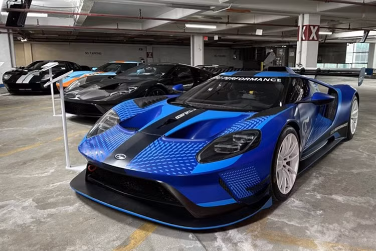 Trong số các mẫu xe nổi bật, Ford GT – biểu tượng tốc độ của hãng – chiếm vị trí quan trọng. Bộ sưu tập bao gồm năm chiếc Ford GT đời 2005, trong đó có ba chiếc thuộc lô sản xuất đầu tiên với số khung đặc biệt. Tiếp nối là Ford GT thế hệ thứ hai với thân vỏ hoàn toàn bằng sợi carbon. Tuy nhiên, mẫu GT ấn tượng nhất là chiếc Ford GT Mk II, phiên bản xe đua giới hạn chỉ 45 chiếc, với giá khởi điểm 1,2 triệu USD.