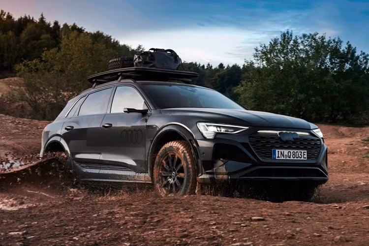 Audi Q8 e-tron edition Dakar: Mẫu SUV thuần điện này được lấy cảm hứng từ chiếc xe đua Dakar Rally Audi RS Q e-tron. Khoảng sáng gầm của xe được nâng cao hơn 31 mm so với tiêu chuẩn, đạt mức 206 mm. Chỉ có 1.000 chiếc được sản xuất trên nền tảng Q8 55 e-tron quattro.