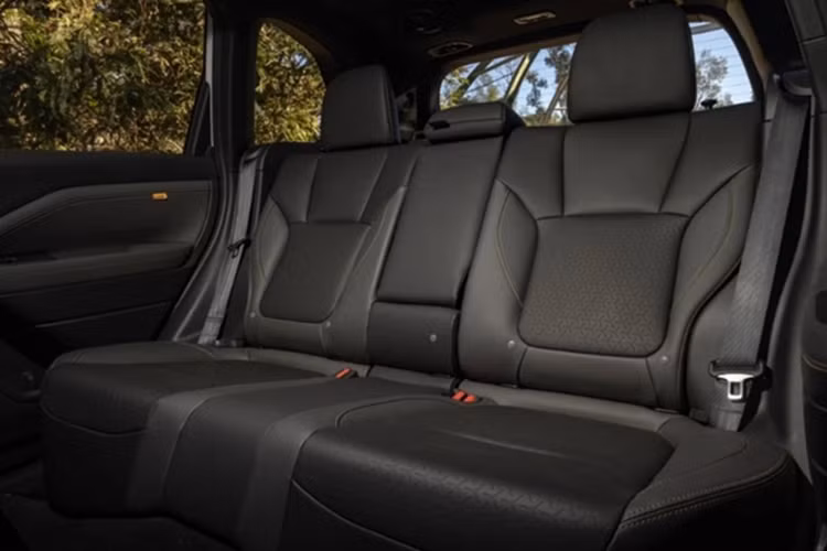 Ghế ngồi trên xe được bọc chất liệu StarTex chống thấm nước và dễ dàng lau rửa. Trên tựa đầu ghế có dòng chữ “Subaru Wilderness" với hình dãy núi được dập chìm tạo điểm nhấn. Khu vực hàng ghế sau của xe có không gian để chân lên đến 1.000 mm. Khi gập tựa lưng 60:40, thể tích khoang hành lý được tăng lên mức tối đa 1.957 lít.