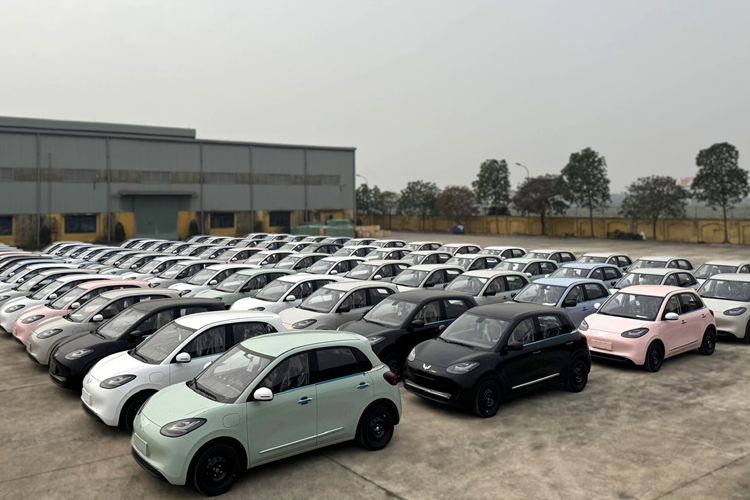 Việc bán ra của mẫu xe bốn chỗ Plus bắt đầu vào tháng 3/2024 và mẫu xe SUV năm chỗ được ra mắt vào tháng 9. Mẫu xe năm chỗ có các phiên bản 330 km, 401 km và 510 km, trong khi mẫu xe bốn chỗ không có phiên bản 330 km.