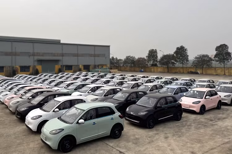 Việc bán ra của mẫu xe bốn chỗ Plus bắt đầu vào tháng 3/2024 và mẫu xe SUV năm chỗ được ra mắt vào tháng 9. Mẫu xe năm chỗ có các phiên bản 330 km, 401 km và 510 km, trong khi mẫu xe bốn chỗ không có phiên bản 330 km.