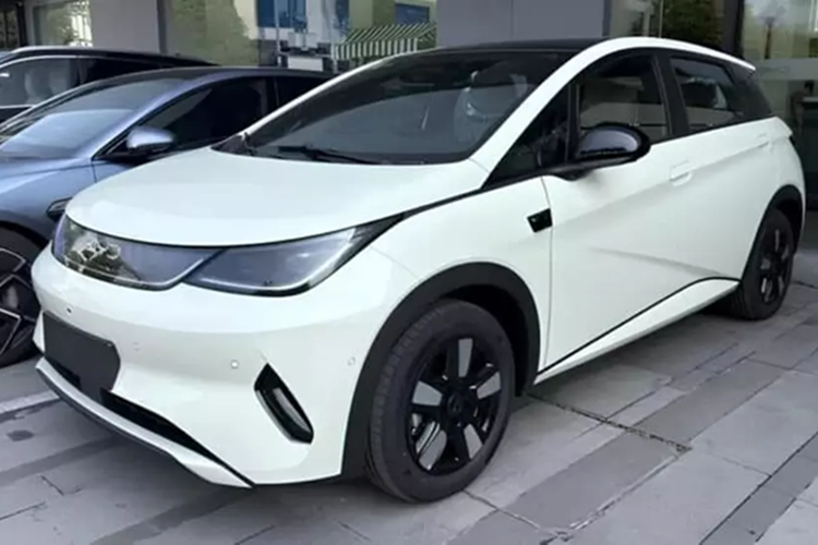 Trước đó, BYD đã nộp đơn xin giấy phép bán tại Trung Quốc cho xe Dolphin hatchback mới vào ngày 9 tháng 12. Vào cuối tháng 2, BYD đã thông báo rằng chiếc xe này sẽ được trang bị hệ thống hỗ trợ lái xe God's Eye C (DiPilot 100) mới nhất của công ty. Vào ngày 4/3/2025, mẫu xe điện BYD Dolphin mới đã bắt đầu bán tại Trung Quốc.