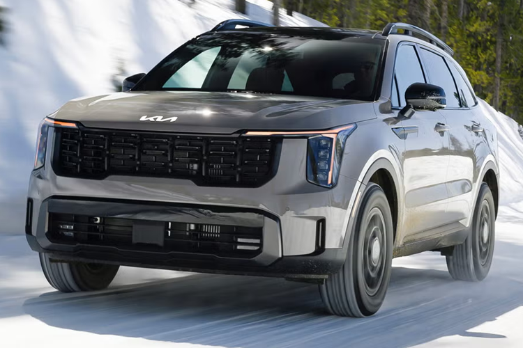 Sorento được đánh giá là mẫu xe lý tưởng dành cho gia đình, với thiết kế thể thao hiện đại và không gian nội thất rộng rãi, đầy đủ tiện nghi. Một yếu tố quan trọng khác thúc đẩy tăng trưởng doanh số của Sorento là việc bổ sung phiên bản hybrid.