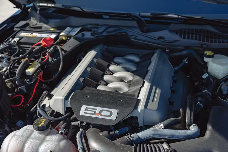 Mustang GT mang đến hiệu suất vượt trội, điều mà người hâm mộ thương hiệu Ford luôn kỳ vọng về chiếc xe cơ bắp hiện đại.