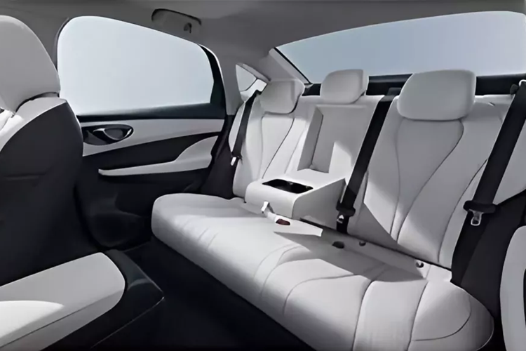 Các loại pin này cung cấp phạm vi hoạt động bằng điện lần lượt là 43 km và 90 km theo WLTC. Mức tiêu thụ nhiên liệu ở chế độ hybrid của xe BYD Seal 05 DM-i là từ 3,9 đến 3,98 lít xăng/100 km và phạm vi kết hợp khi sạc đầy và đổ đầy bình xăng vượt quá 2.000 km.