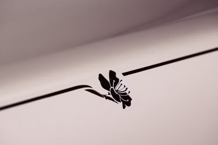 Về động cơ, Phantom bản Hoa anh đào đặc biệt không thay đổi so với các mẫu Phantom khác. Xe được trang bị động cơ V12 tăng áp kép 6.75 lít, công suất 563 mã lực, mô-men xoắn 900 Nm. Với kích thước và trọng lượng lớn, chiếc xe vẫn đạt tốc độ 0-100 km/h trong khoảng 5 giây, đảm bảo khả năng vận hành ổn định.