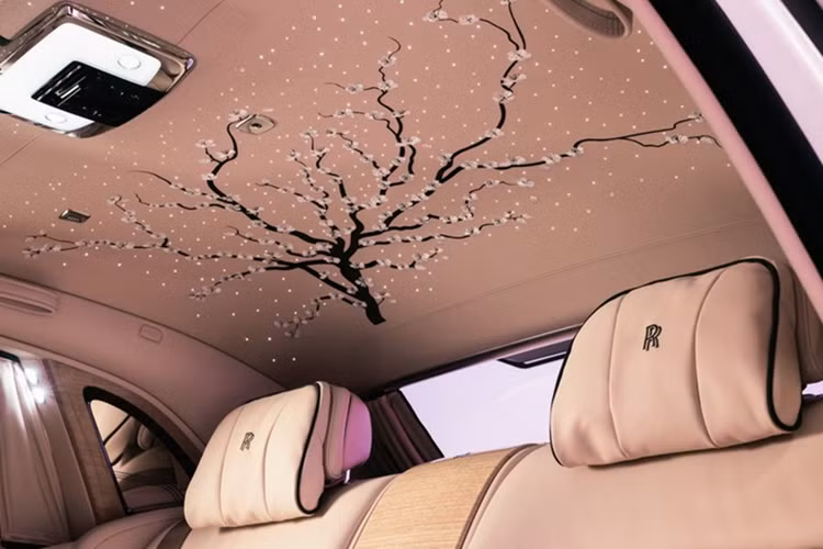 Rolls-Royce Phantom Hoa anh đào sử dụng lớp sơn Crystal over Arctic White – màu trắng pha lê. Thân xe có đường coachline vẽ tay, thuôn dần về phía cửa sau. Dưới trụ A là họa tiết hoa anh đào nhỏ, tạo điểm nhấn liên quan đến nguồn cảm hứng của chiếc xe.