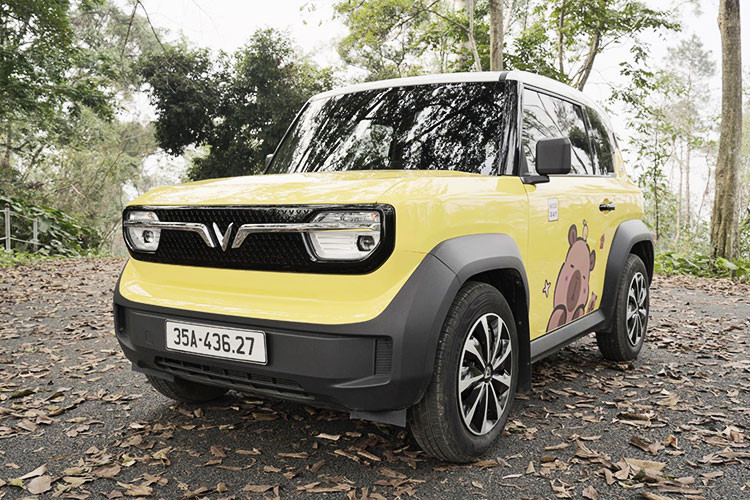 Chu xe VinFast VF3 - khong he thay hoi tiec khi lua chon oto dien-Hinh-5