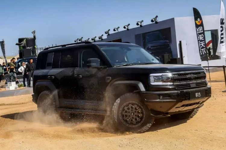 Dòng xe nội địa hiện tại của Denza bao gồm bốn mẫu xe: SUV N7 fastback, xe minivan D9, Z9 GT shooting brake và xe sedan Z9. Sắp tới, SUV Denza N9 sẽ gia nhập đội hình này. Tuy nhiên, dòng xe ở nước ngoài của thương hiệu sẽ khác. BYD cũng điều hành một thương hiệu cao cấp chuyên về địa hình, Fang Cheng Bao (FCB).