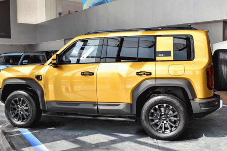 Nhờ pin LFP 31,8 kWh và bình nhiên liệu 85 lít, xe địa hình này có phạm vi hỗn hợp là 1.200 km trong điều kiện CLTC. Mức giá của Denza B5 cho thị trường nước ngoài vẫn chưa được tiết lộ. Tại Trung Quốc, chiếc xe này có giá 239.800 – 302.800 nhân dân tệ ( khoảng 32.750 – 41.350 đô la, tương đương 787 - 994 triệu đồng).