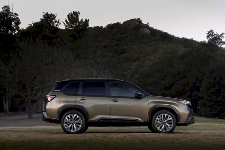 Dung tích khoang hành lý của Subaru Forester 2025 tương đương với đời trước, khoảng 500 lít, đi kèm các móc treo, đai ốc tiện ích để gắn phụ kiện và cốp sau đóng/mở rảnh tay tùy chọn. Subaru cũng chú trọng đến tầm nhìn bên ngoài khi hạ thấp nắp ca-pô và chân cột A, thu gọn gương chiếu hậu cũng như thiết kế lại cần gạt mưa để giảm cản trở khả năng quan sát của người lái.