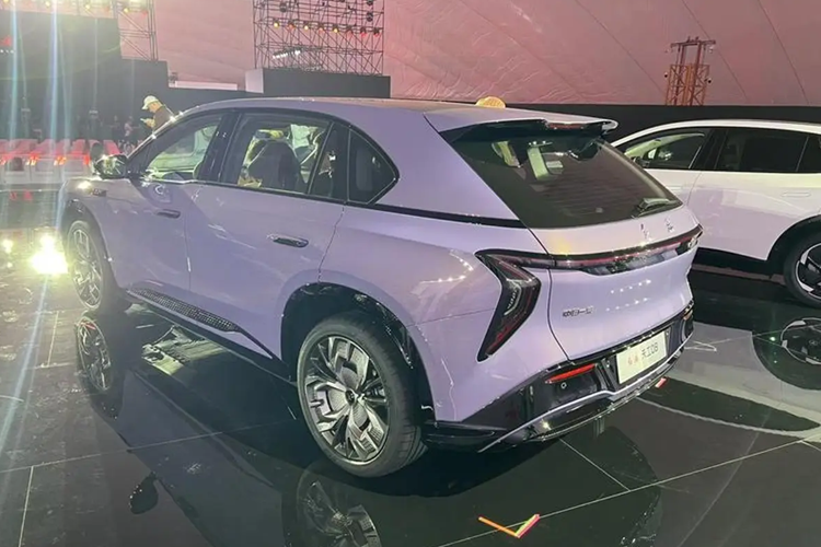 Phiên bản thay thế pin cũng sẽ có sẵn, trong khi thông tin chi tiết về pin LFP vẫn chưa được tiết lộ. Tiangong 08 cũng sẽ được bán ra ở nước ngoài với tên gọi Hongqi EHS7, mức giá xe Tiangong 08 2025 trước tại châu Âu bắt đầu từ 53.999 Euro (55.480 USD).