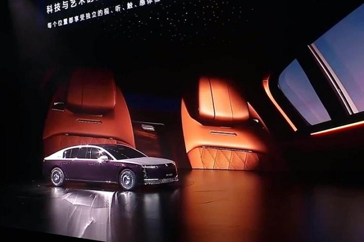 Maextro S800 sử dụng các biến thể hệ truyền động BEV (xe điện chạy bằng pin) và EREV (xe điện có phạm vi hoạt động mở rộng). Biến thể BEV chỉ có ba động cơ điện (mỗi động cơ có công suất 160 kW) với tổng công suất là 635 kW (852 mã lực).